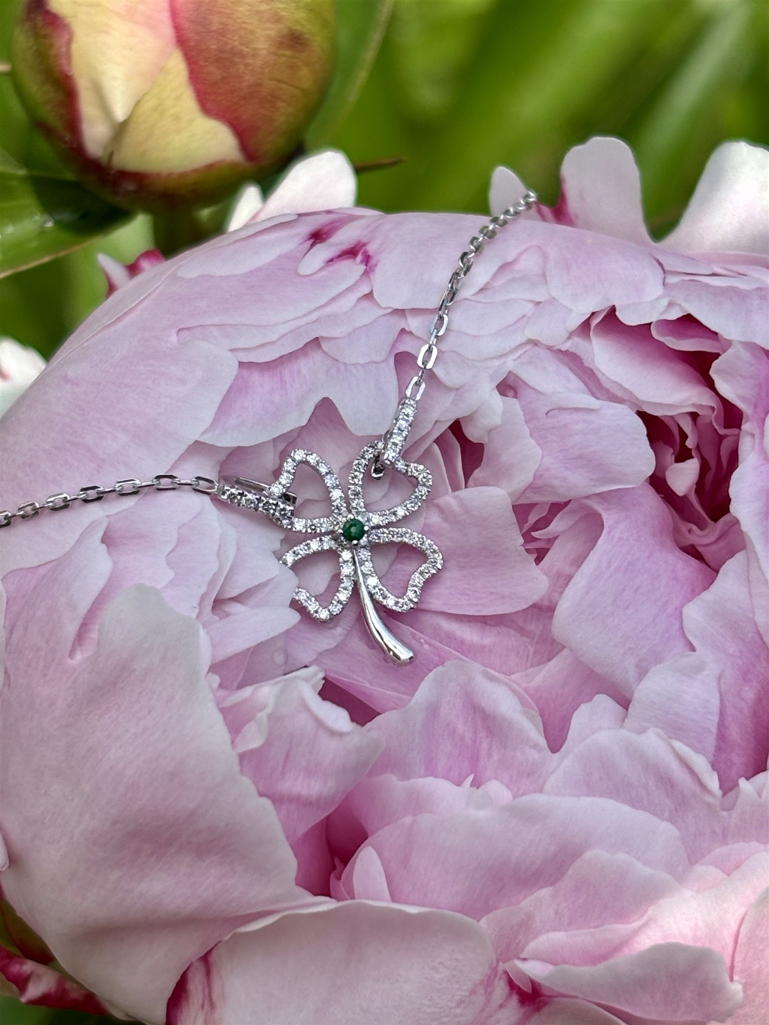 Fyrklöverarmband på hortensia.jpeg